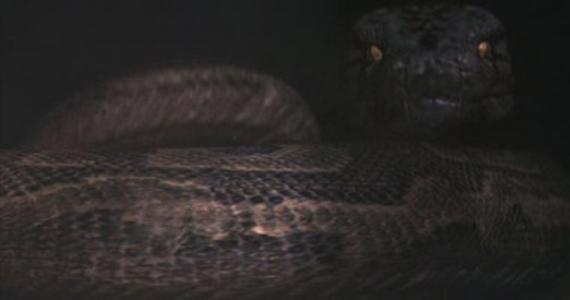 boa vs python pelicula