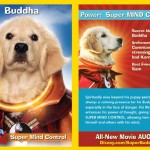 Buddha Card Super Buddies