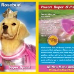 Rosebud Card Super Buddies
