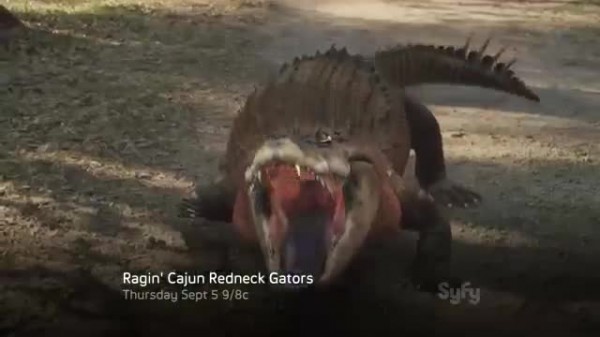 Ragin Cajun Redneck Gators