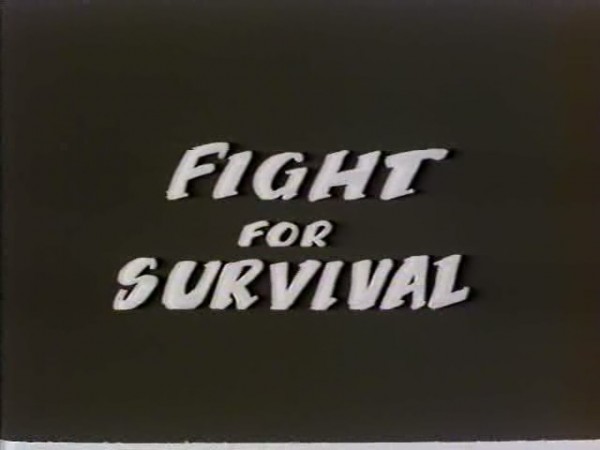 Fight for Survival 十大掌門闖少林 The Fight for Shaolin Tamo Mystique