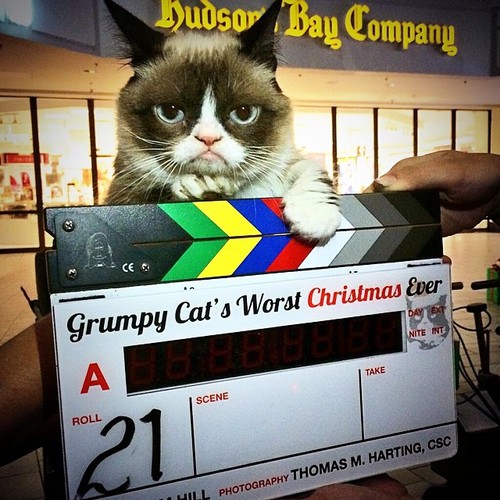 Grumpy Cat Lifetime Christmas