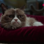 Grumpy Cat Worst Christmas Ever Lifetime