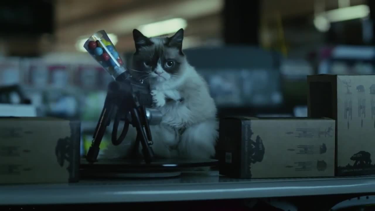 Lifetime Gives Us The Sigh Grumpy Cat Christmas Movie Trailer Tars