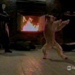 Karate Dog