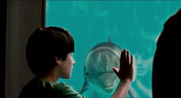 A Dolphin Tale