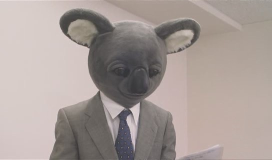 Executive Koala