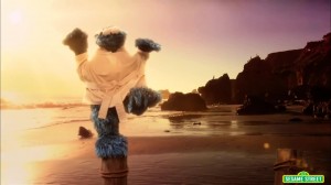 cookie monster karate kid