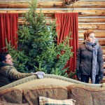 Christmas Under Wraps Hallmark