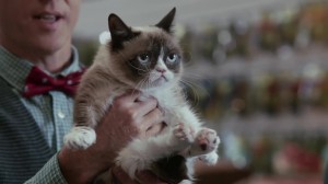 Grumpy Cat Worst Christmas Ever Lifetime