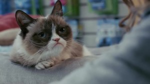 Grumpy Cat Worst Christmas Ever Lifetime