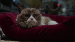 Grumpy Cat Worst Christmas Ever Lifetime