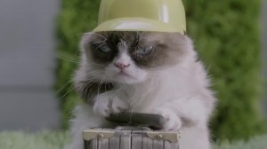 Grumpy Cat Worst Christmas Ever Lifetime