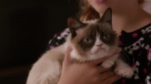 Grumpy Cat Worst Christmas Ever Lifetime