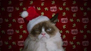 Grumpy Cat Worst Christmas Ever Lifetime