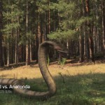 Lake Placid vs Anaconda